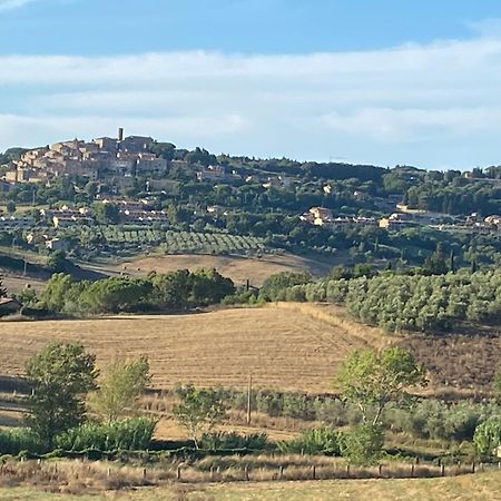 Podere Campo Alle Serpi Bibbona Exterior photo