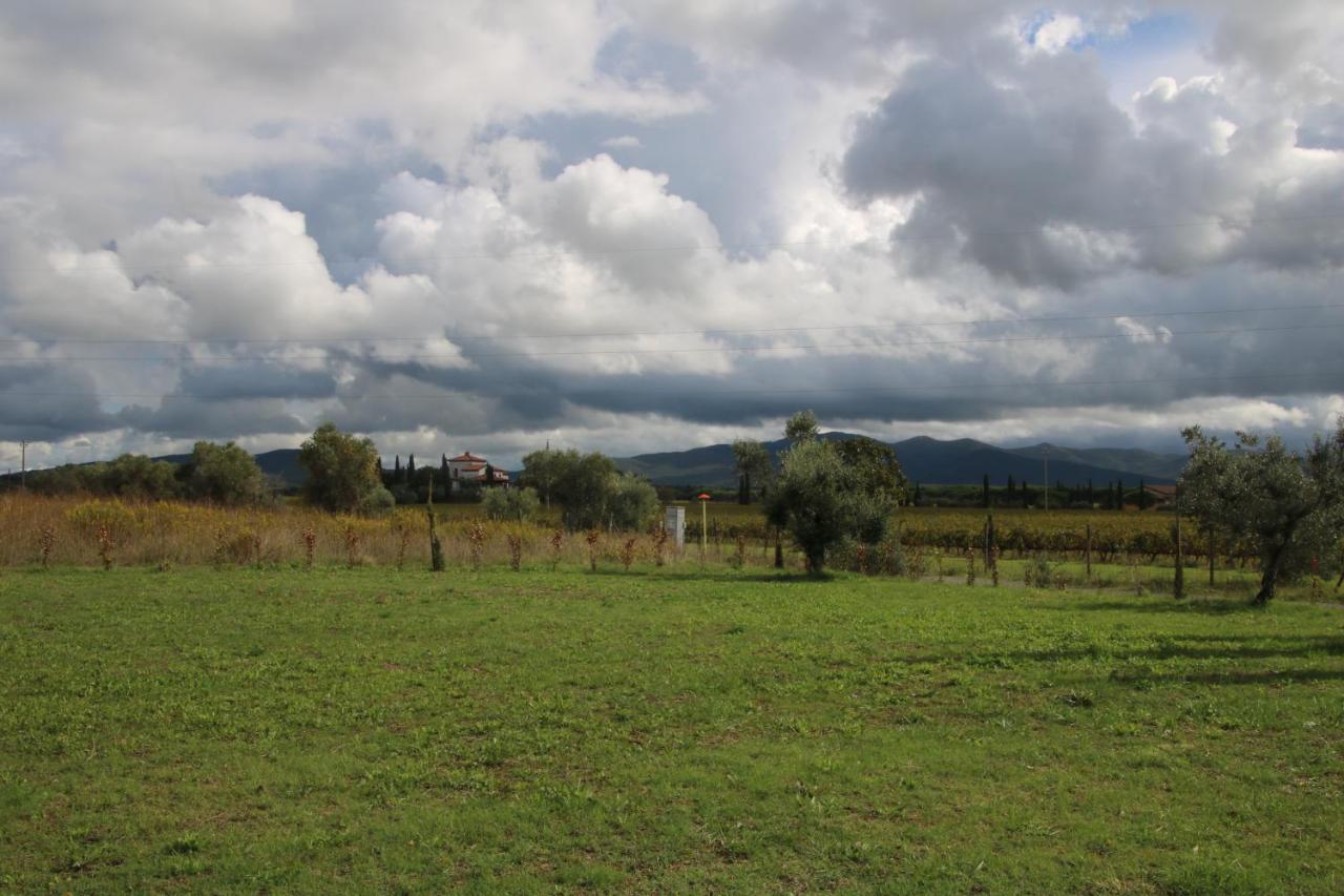 Podere Campo Alle Serpi Bibbona Exterior photo