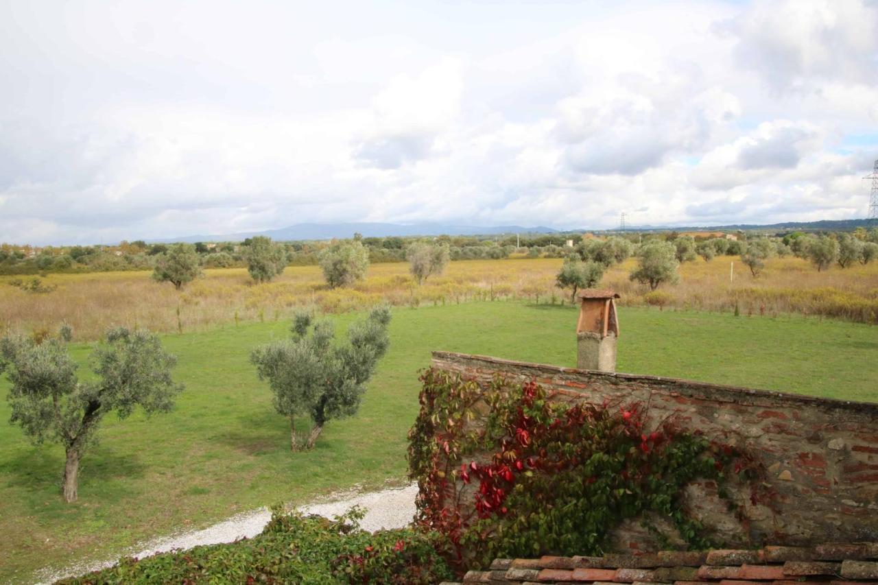 Podere Campo Alle Serpi Bibbona Exterior photo