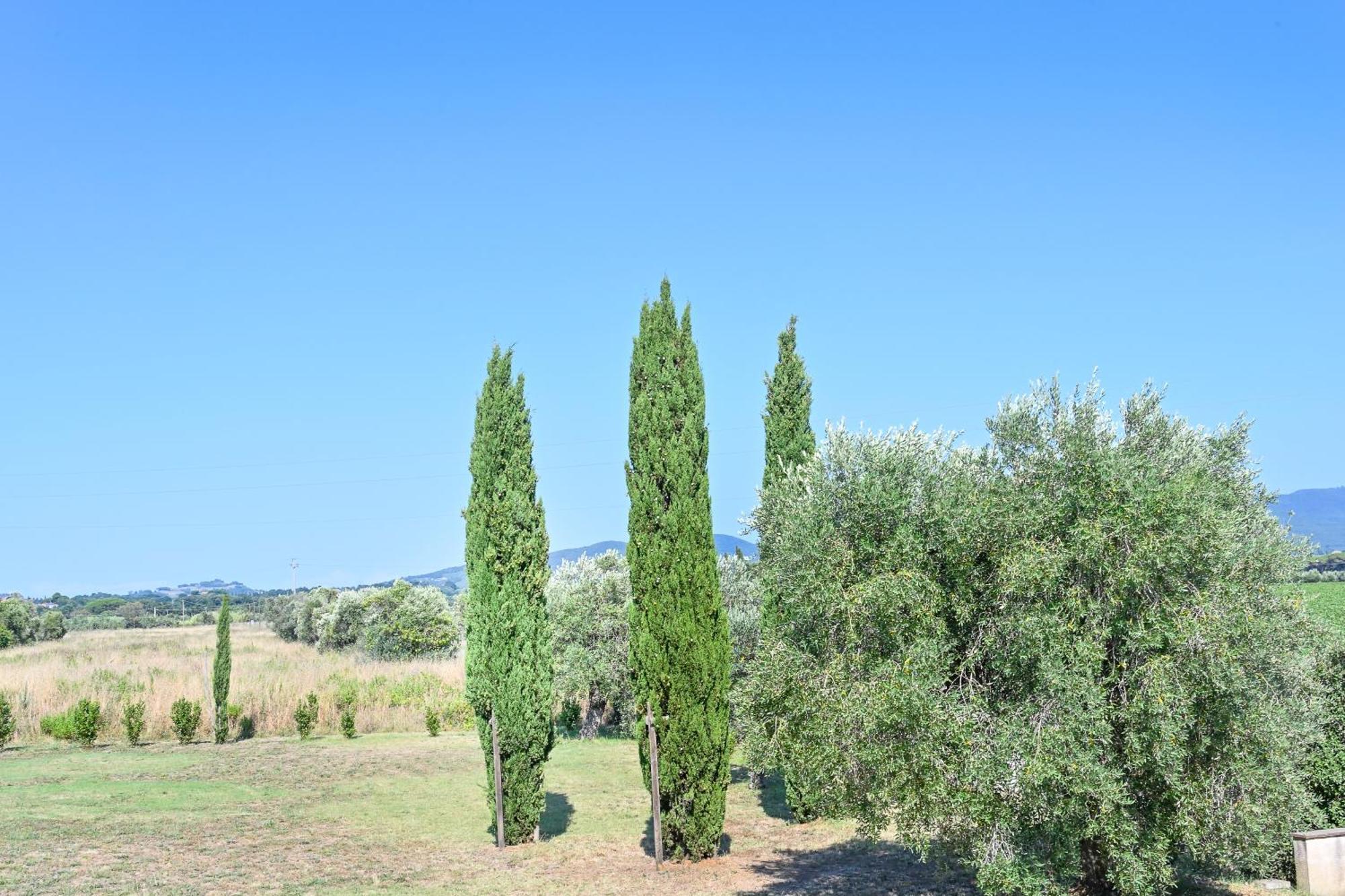Podere Campo Alle Serpi Bibbona Room photo
