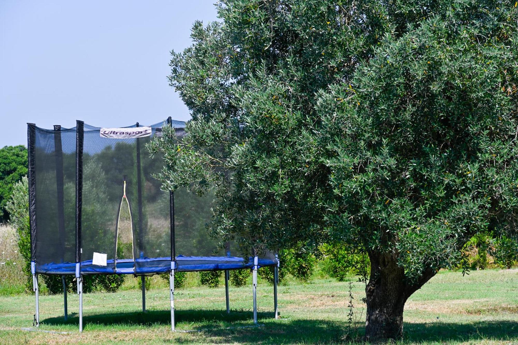 Podere Campo Alle Serpi Bibbona Exterior photo