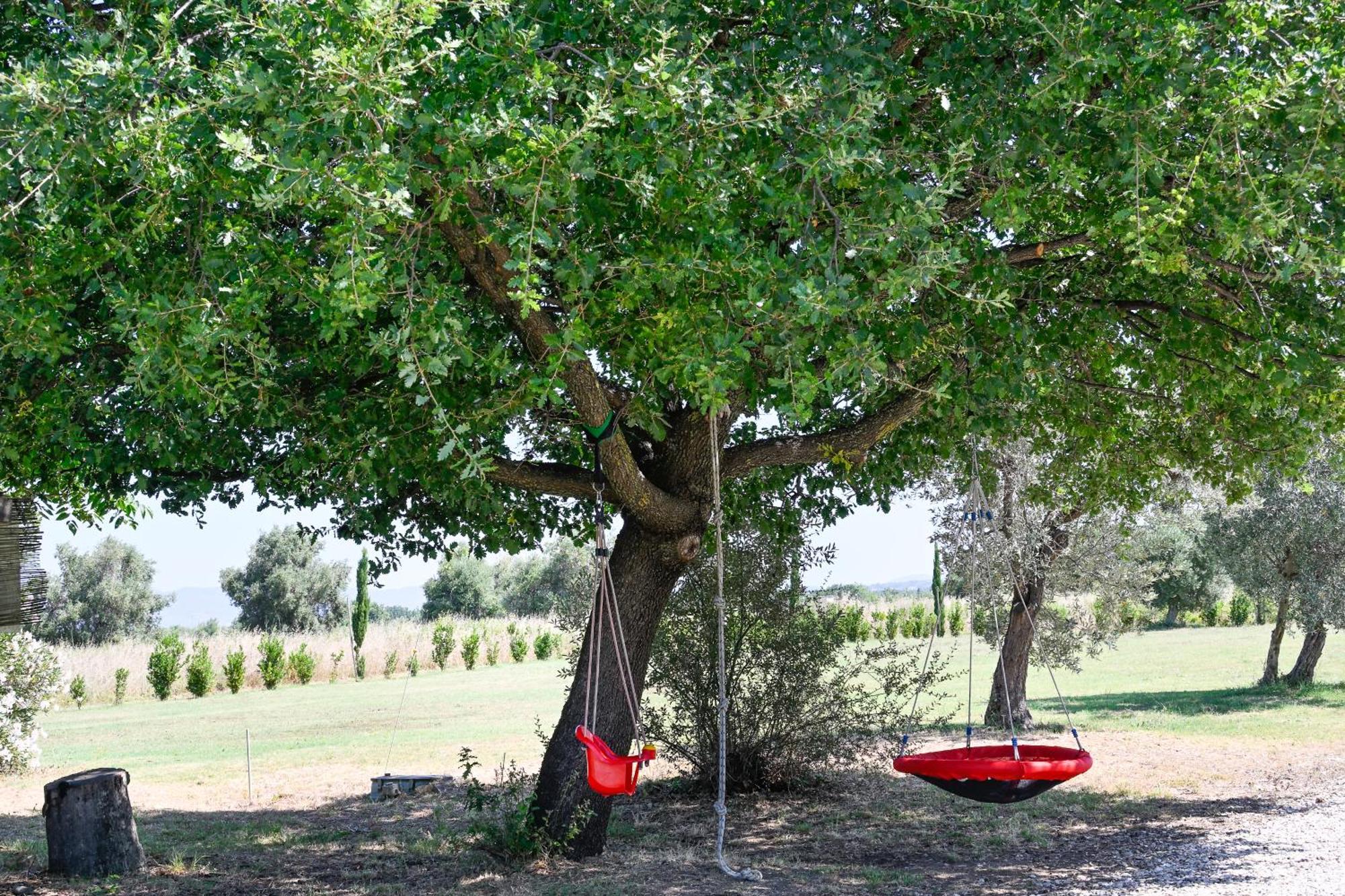 Podere Campo Alle Serpi Bibbona Exterior photo